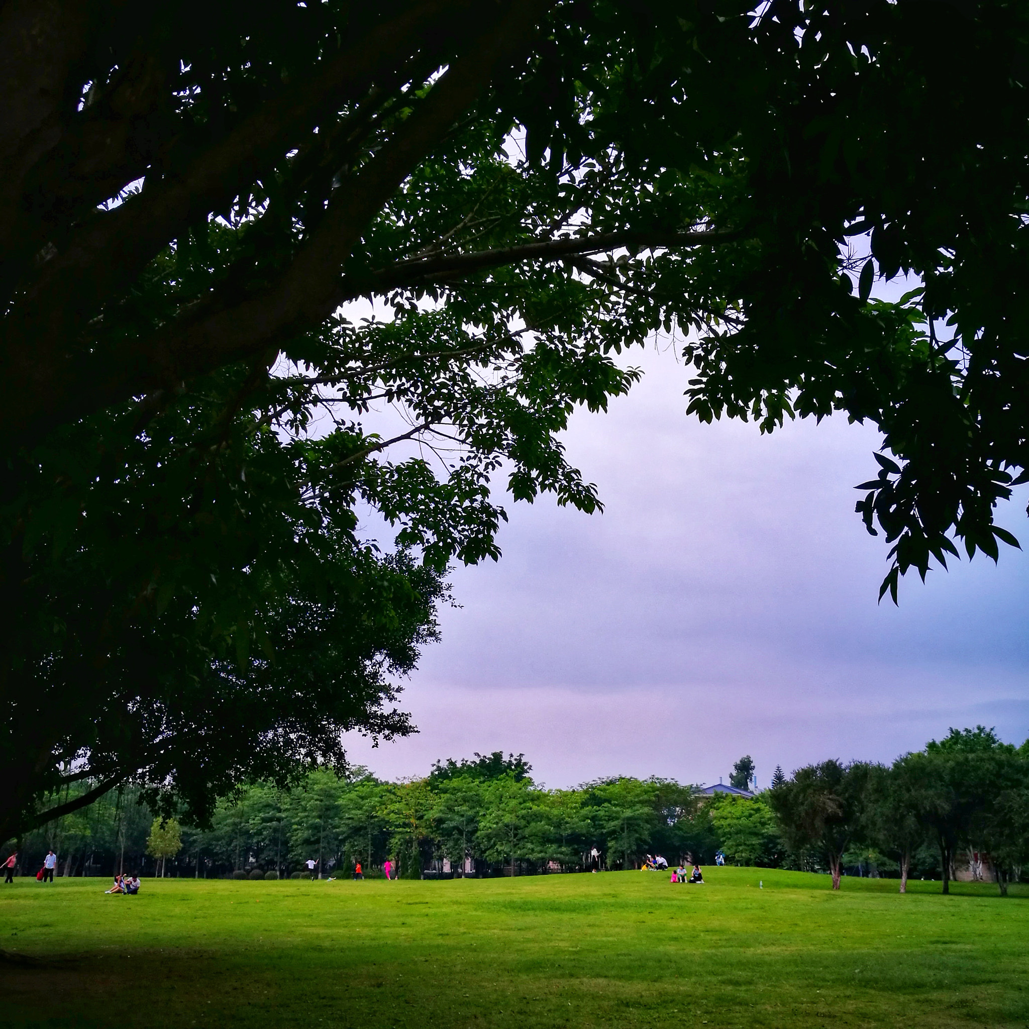 HUAWEI P9 Plus sample photo. Family day photography