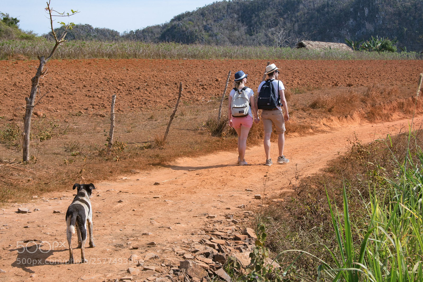 Nikon 1 J5 sample photo. Couple walking in vi photography