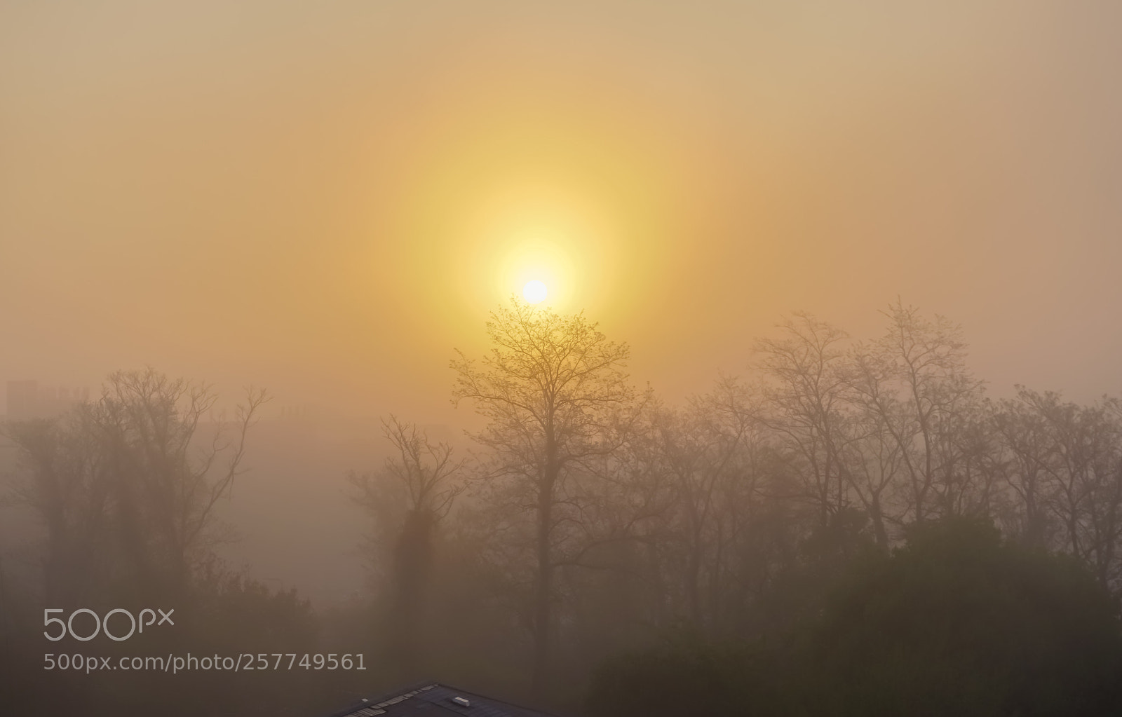 Sony a6300 sample photo. The fog and the photography
