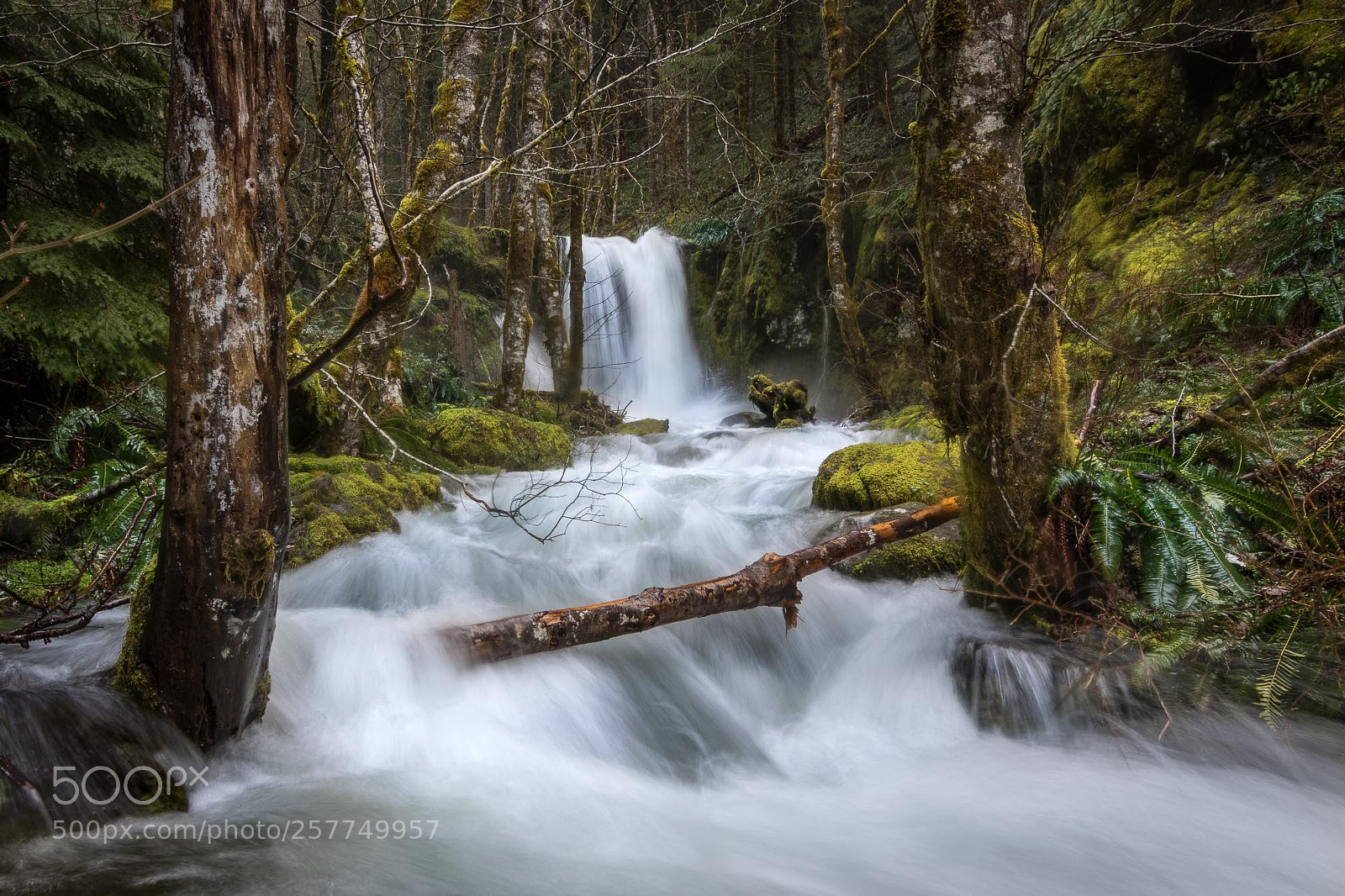 Canon EOS 7D Mark II sample photo. Raging creek photography