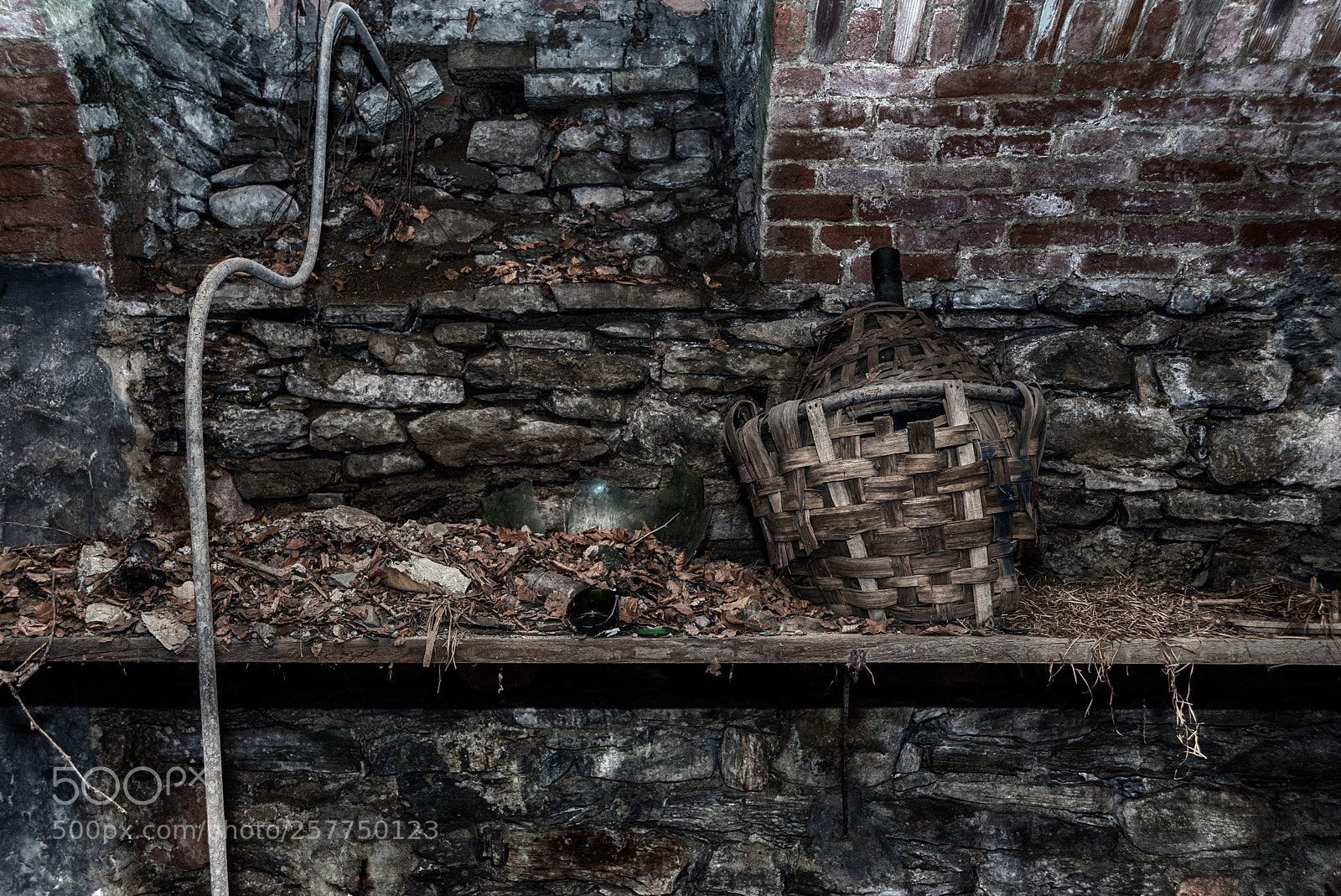 Nikon D610 sample photo. Keeping fresh photography