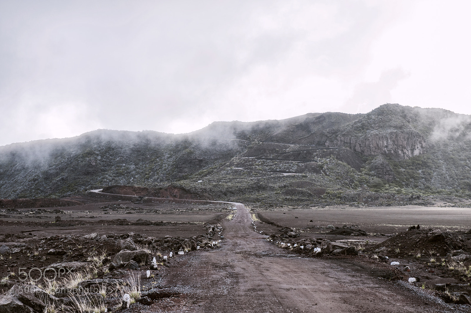 Nikon D300S sample photo. On the road photography