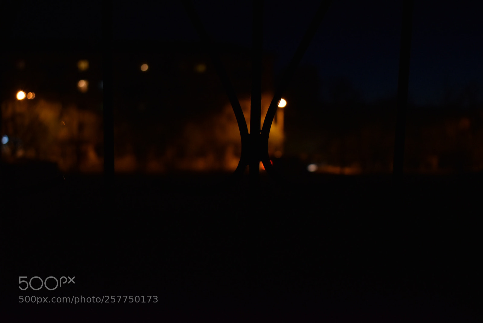 Nikon D5600 sample photo. Untitled photography