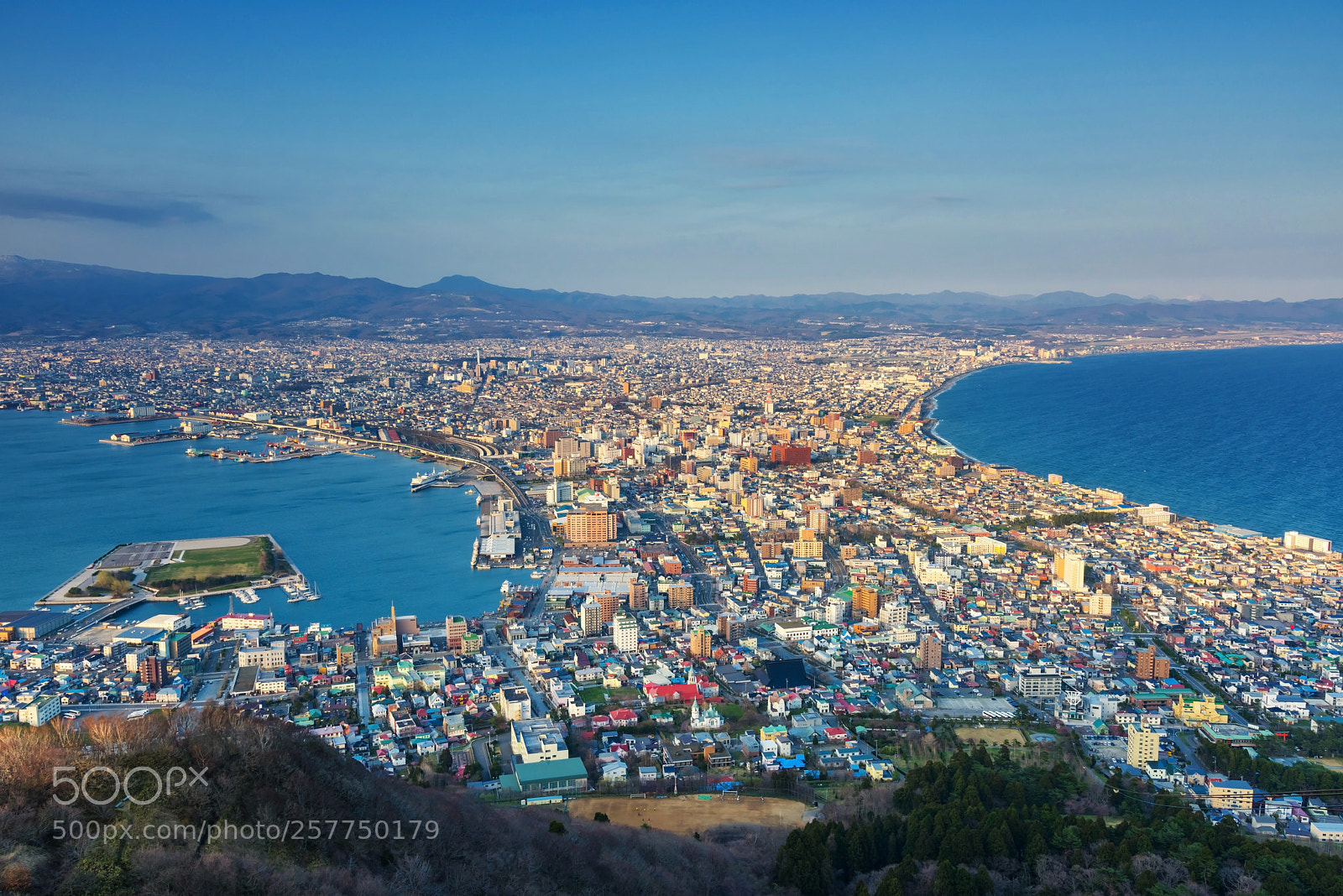Nikon D810 sample photo. Cityscape view from mount photography