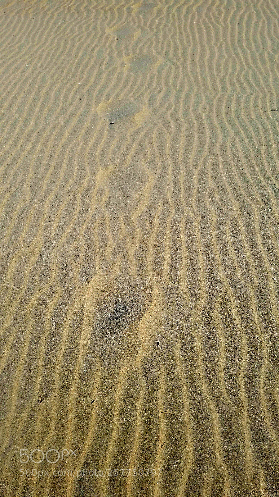 Samsung Galaxy S7 sample photo. Footprints in the sand photography