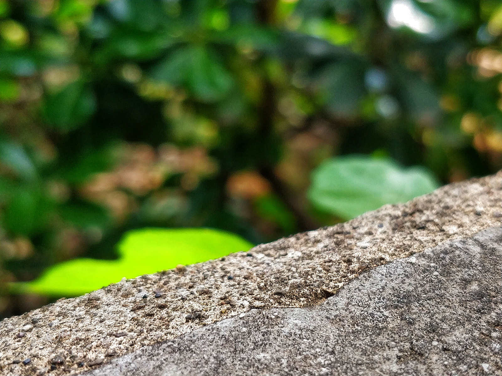 OnePlus 5T sample photo. On the line photography