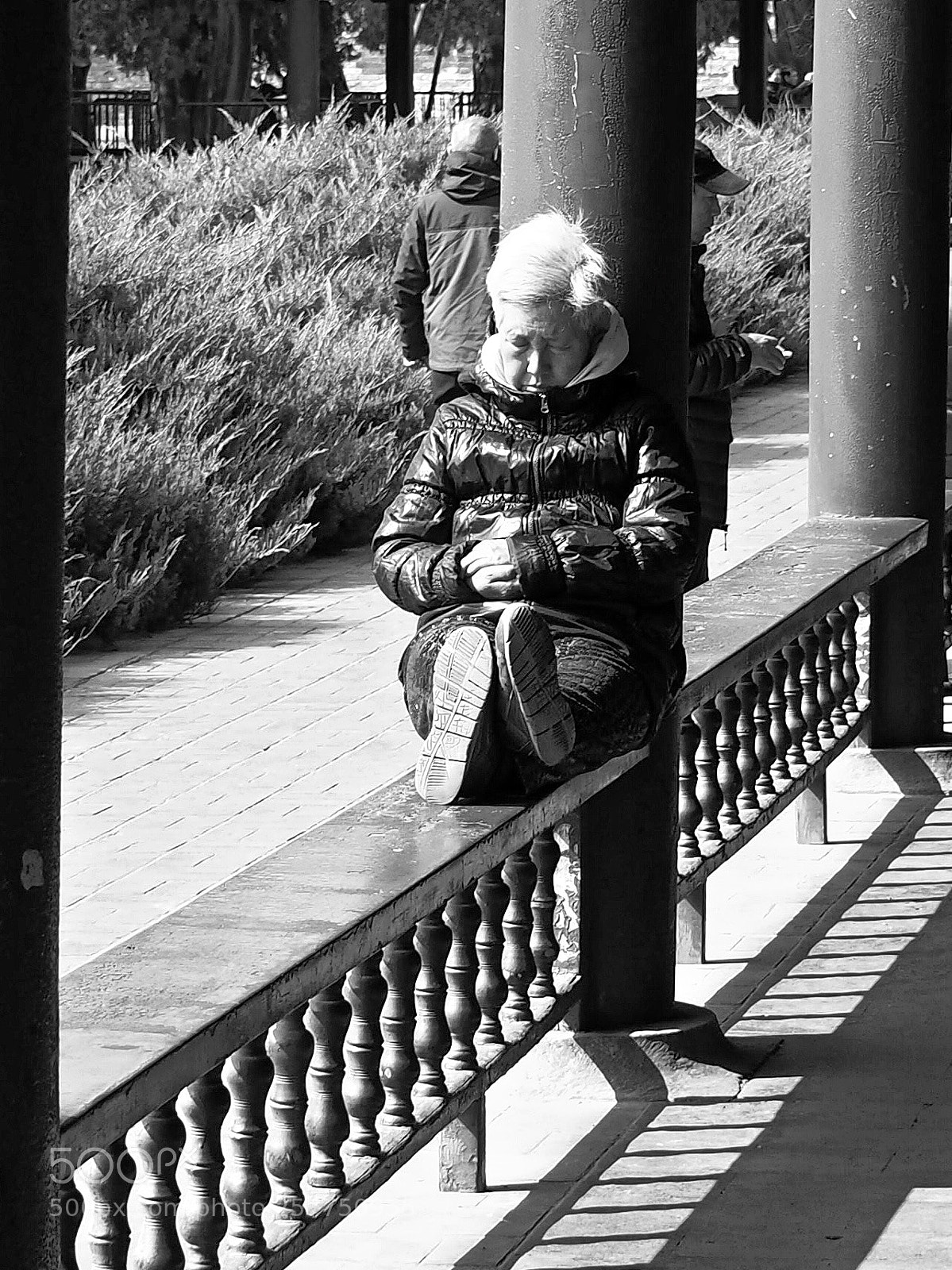 Olympus OM-D E-M5 II sample photo. Basking photography
