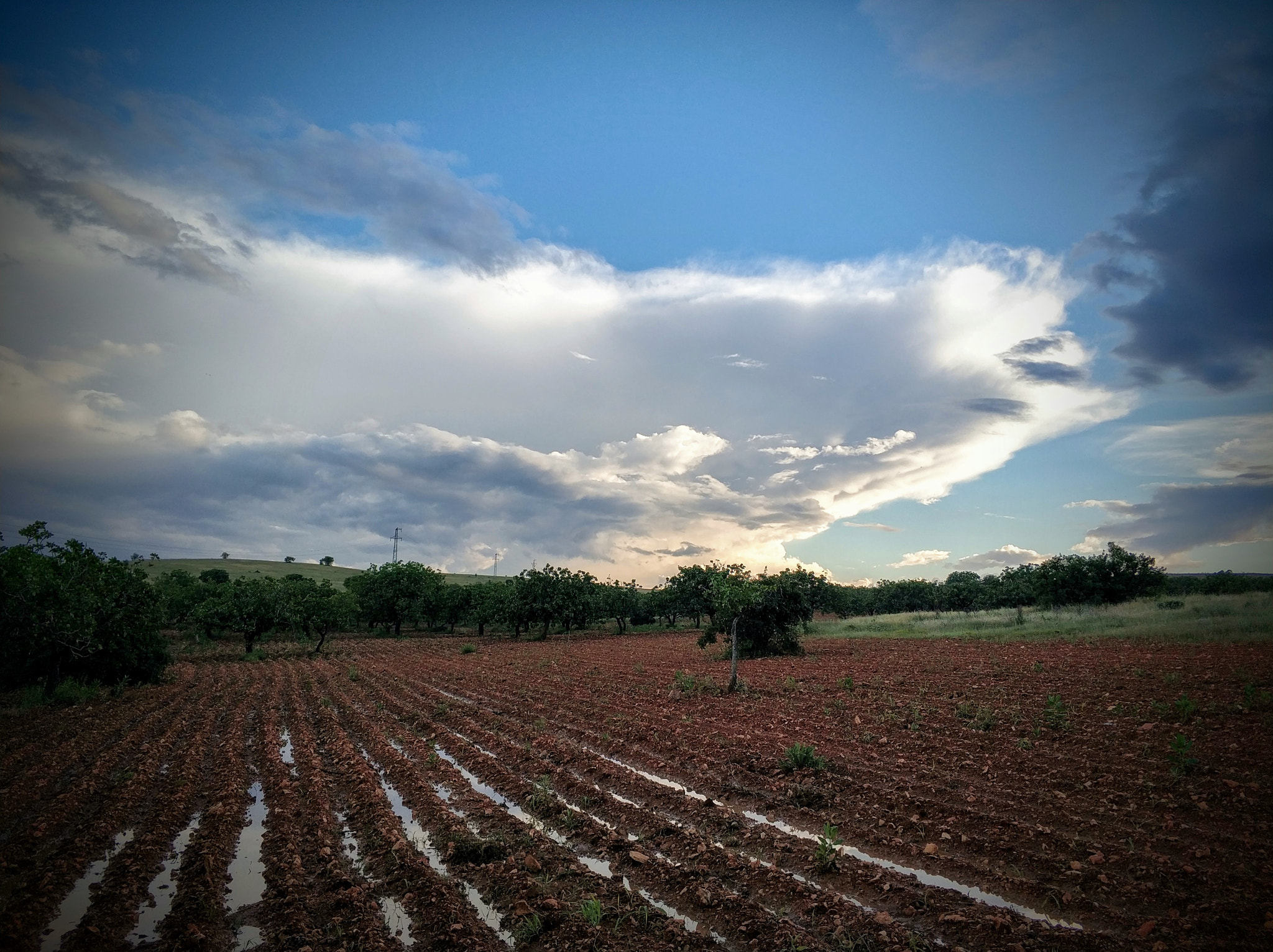 Xiaomi Mi Note 3 sample photo
