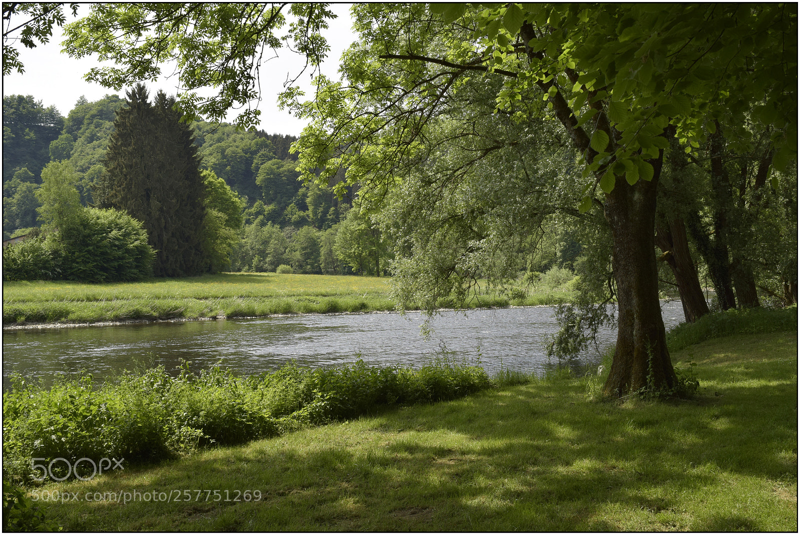 Nikon D3300 sample photo. And again spring at photography
