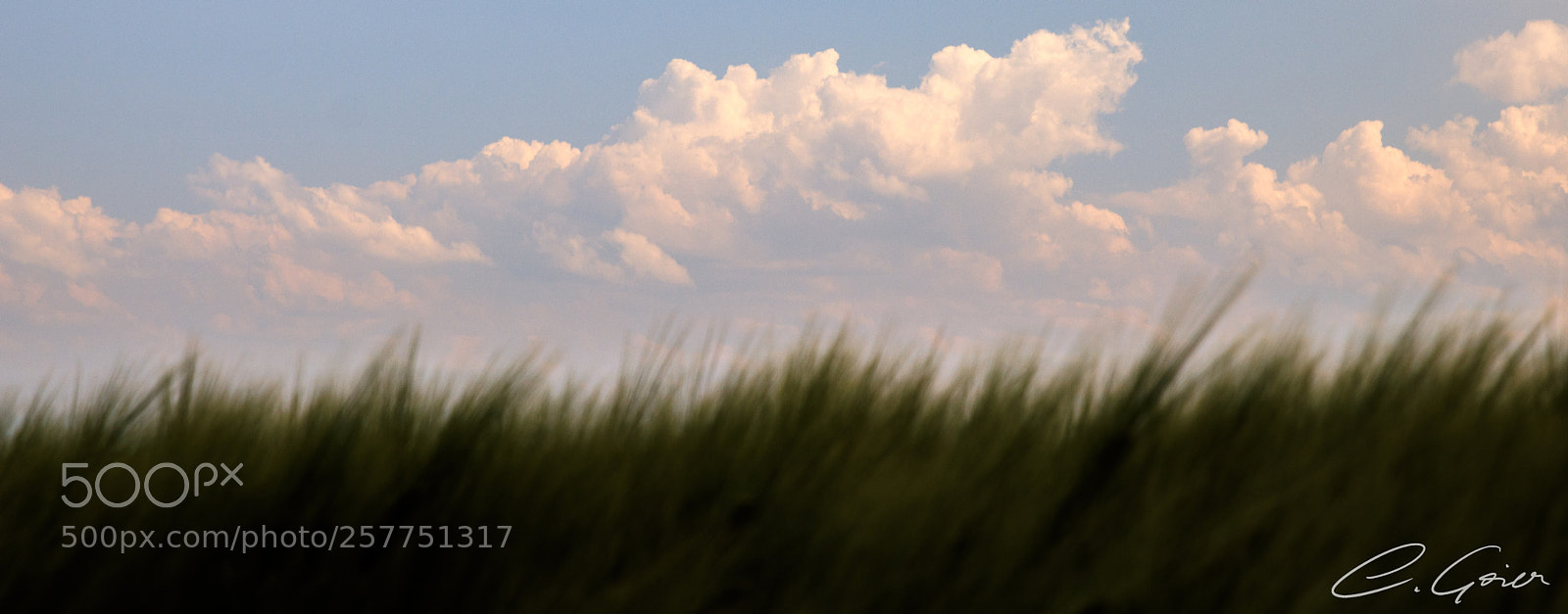 Canon EOS 77D (EOS 9000D / EOS 770D) sample photo. Grain and clouds photography