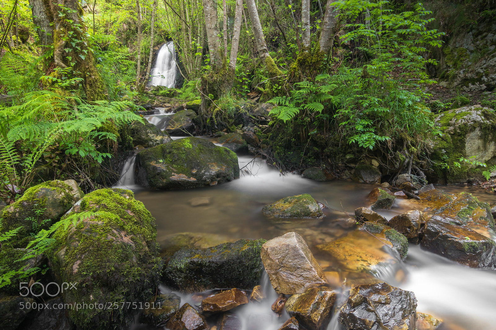 Canon EOS 77D (EOS 9000D / EOS 770D) sample photo. Cascada de salas photography