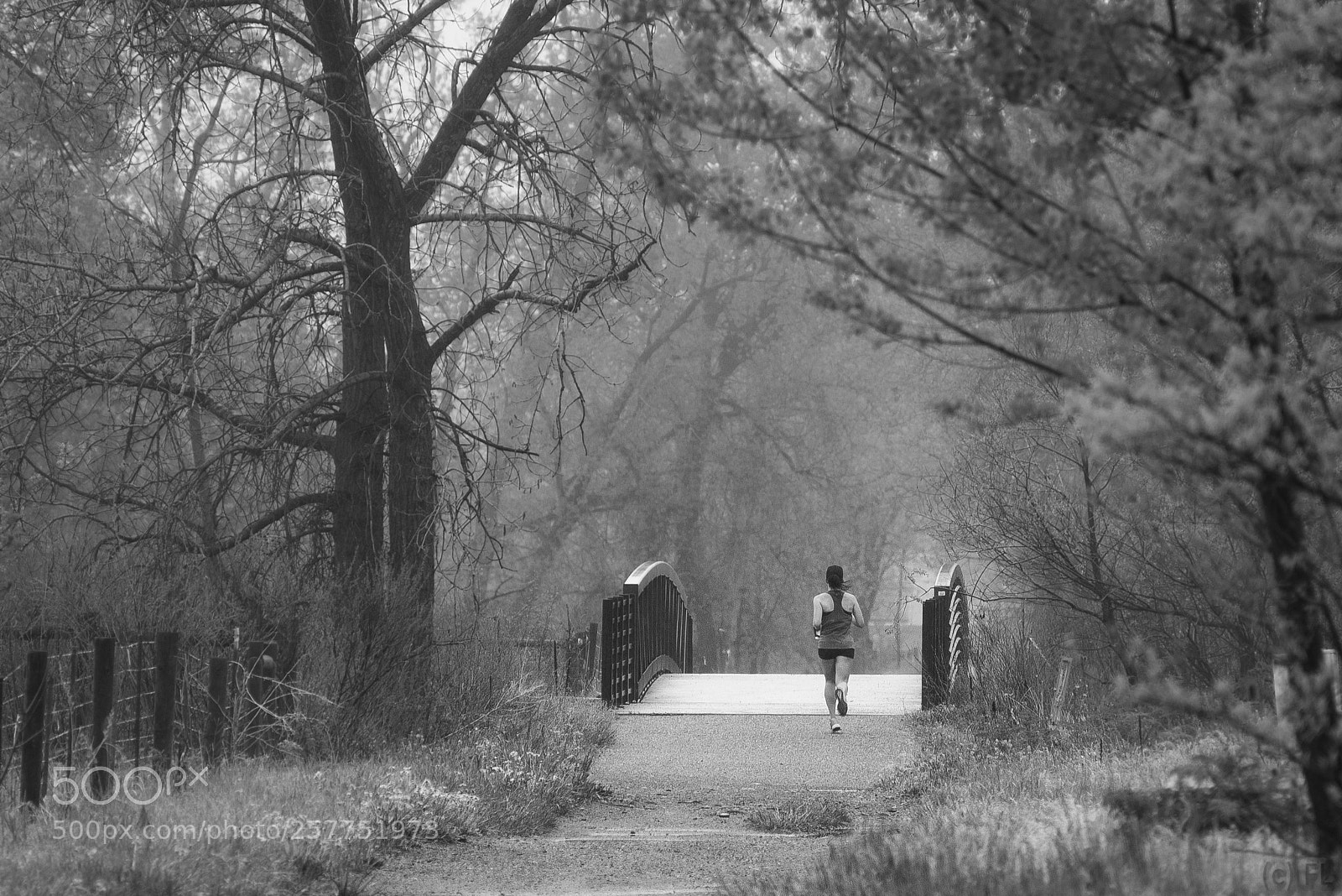 Nikon D610 sample photo. Hazy morning run photography