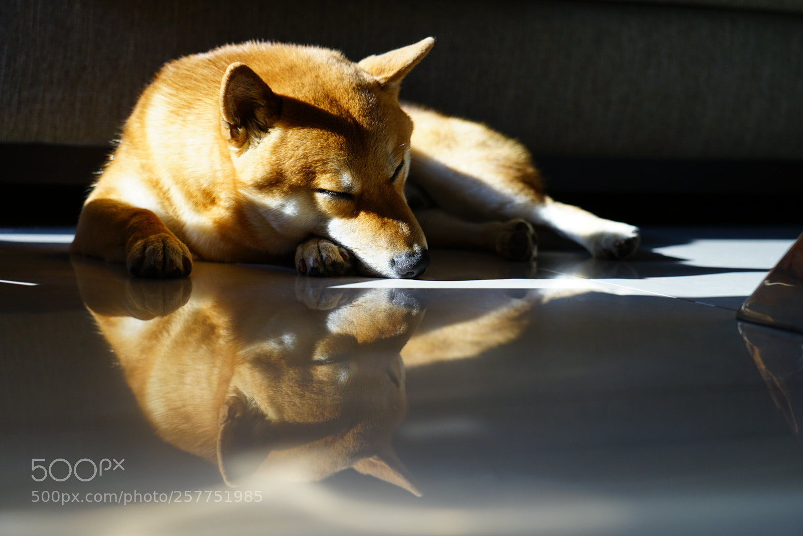 Sony a7 II sample photo. Untitled photography