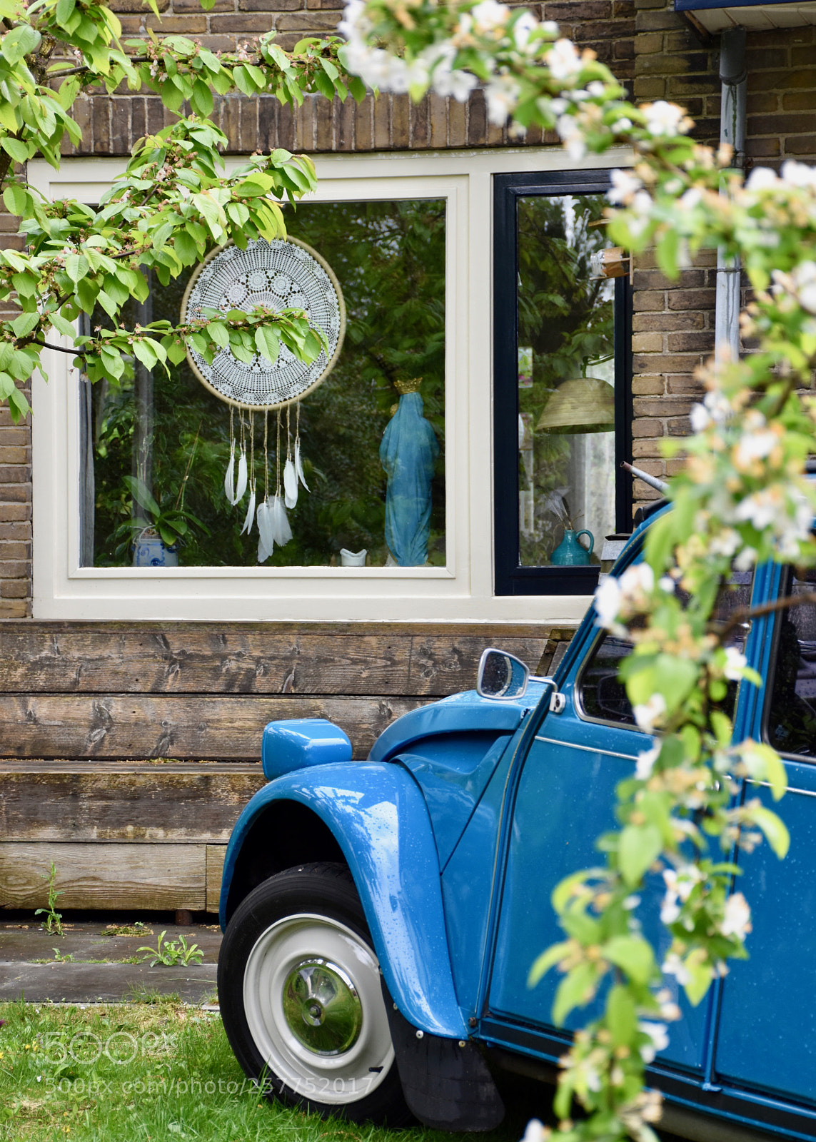 Nikon D5600 sample photo. All blue photography