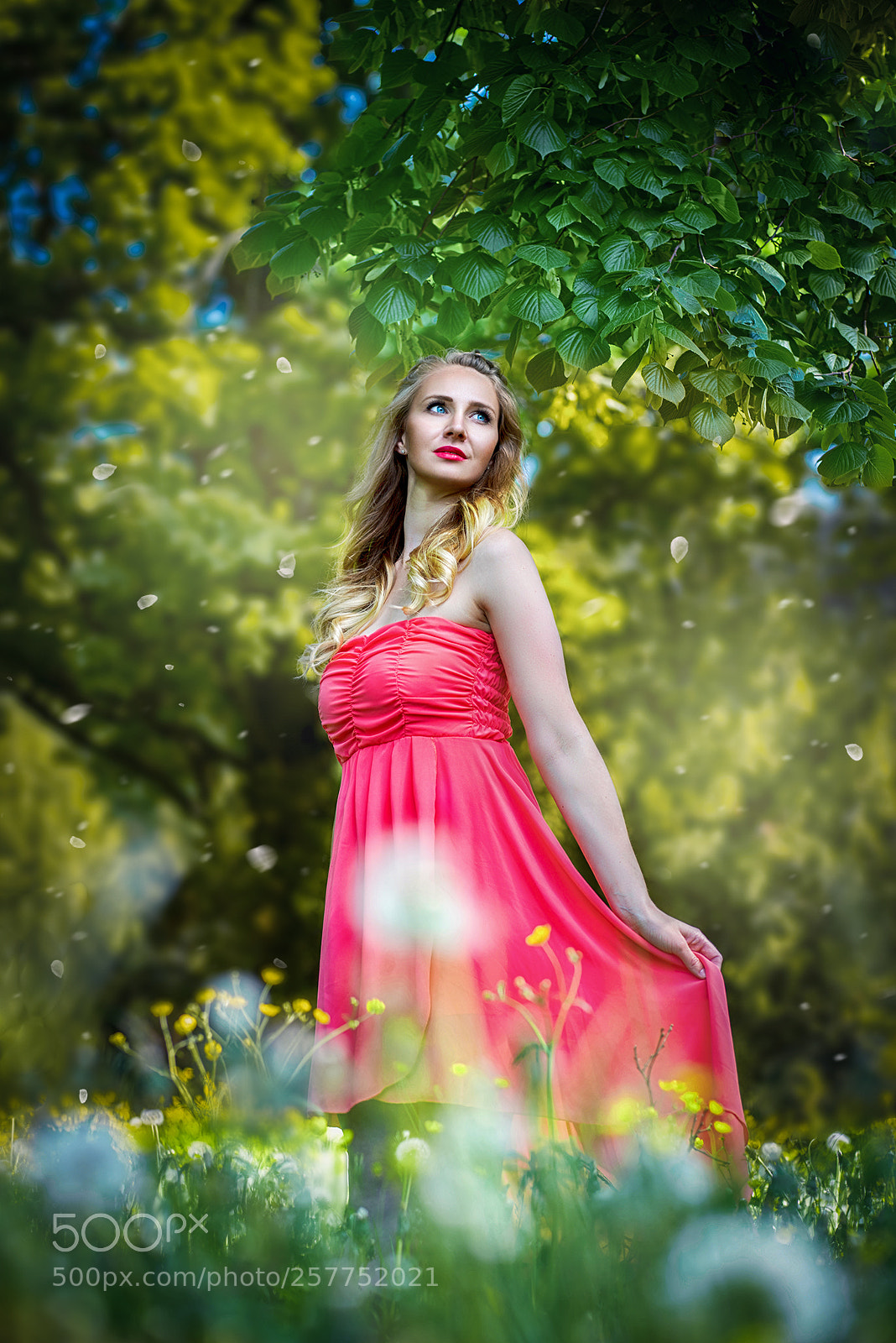 Sony a7R sample photo. Marlana photography