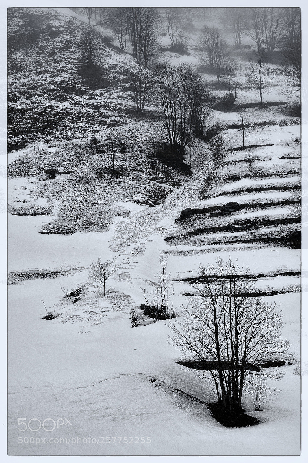 Nikon D500 sample photo. April winter-look photography