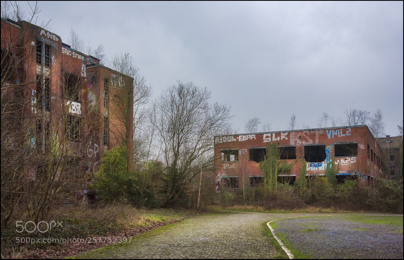 Nikon D750 sample photo. Urbex chartreuse li ge photography