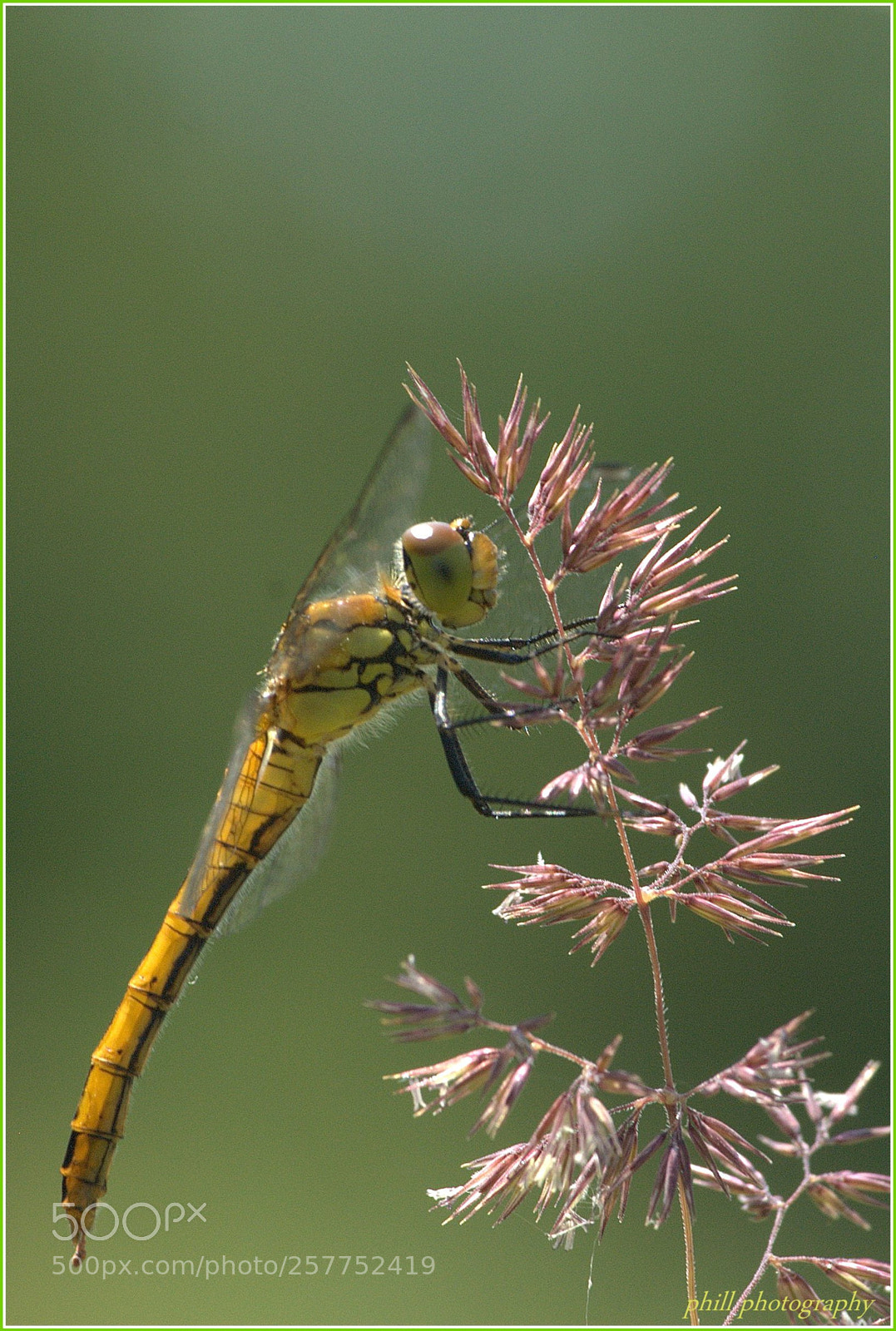Nikon D80 sample photo. Nef photography