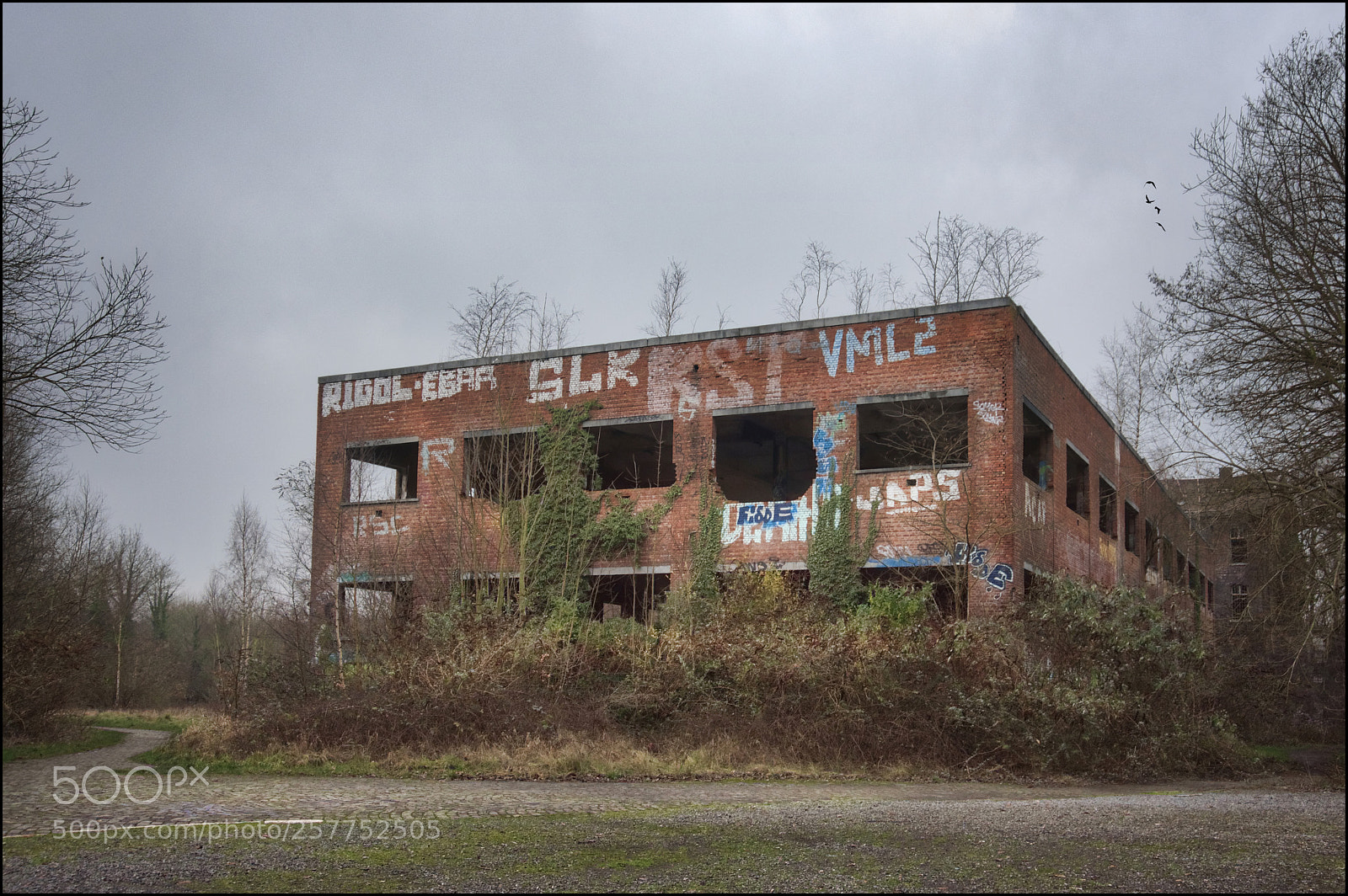 Nikon D750 sample photo. Urbex chartreuse li ge photography