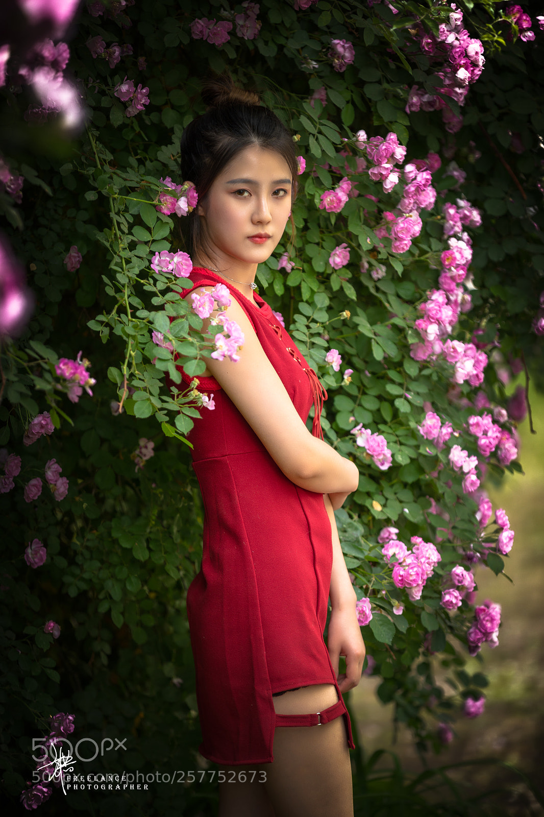 Canon EOS 5D Mark IV sample photo. 蔷薇少女 photography
