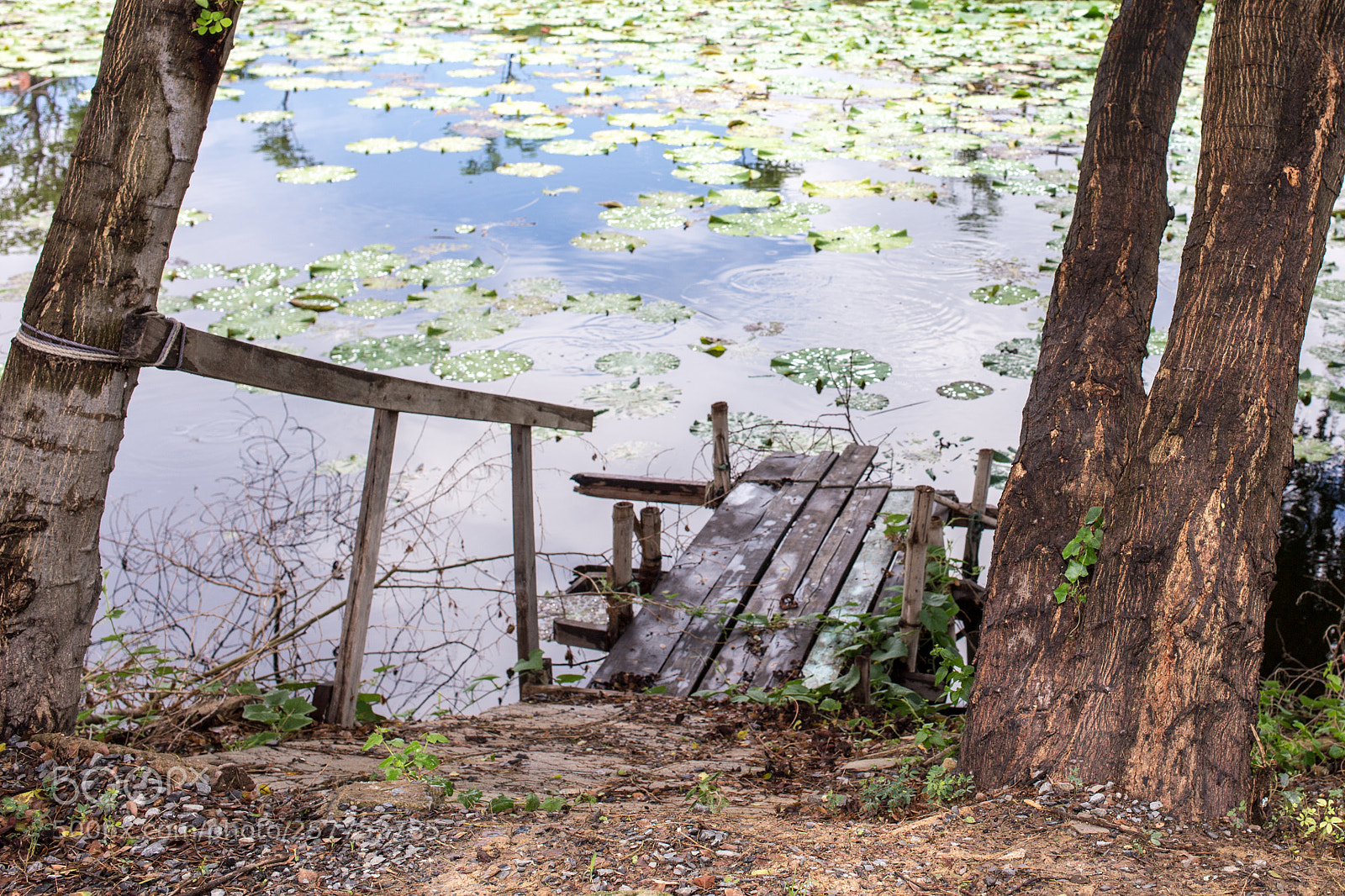Canon EOS 6D sample photo. Bridge photography