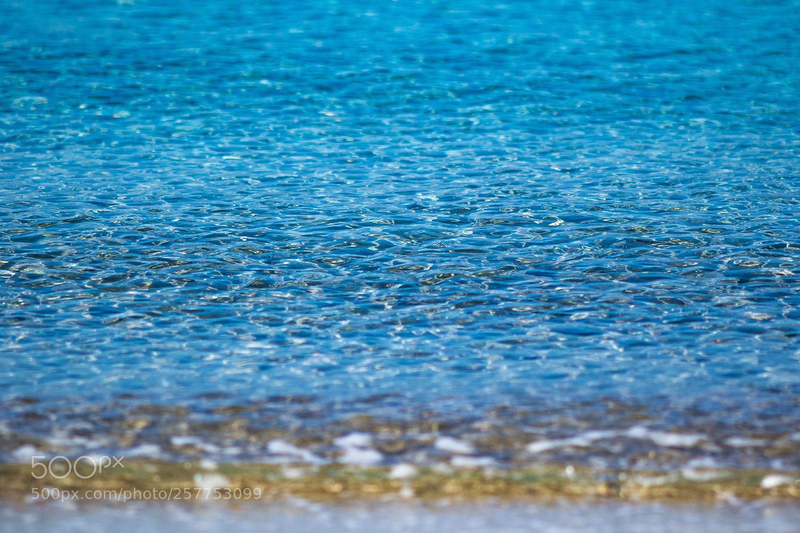 Canon EOS 7D Mark II sample photo. Crystalclear photography