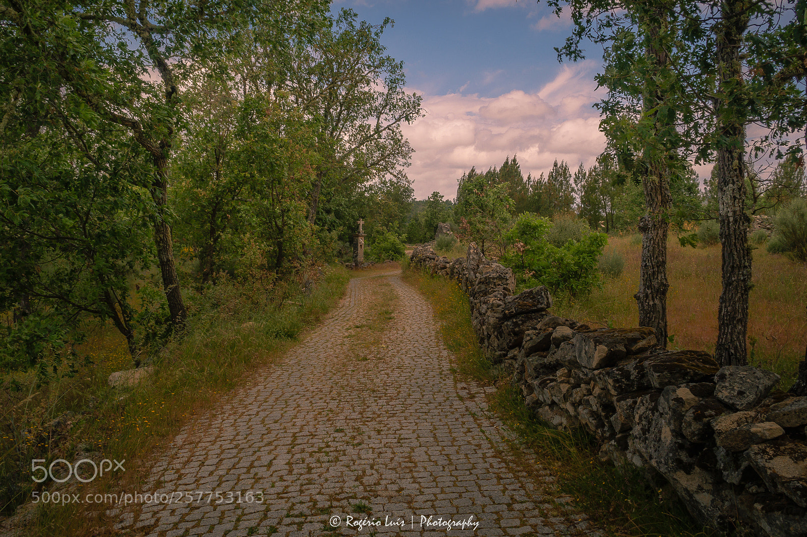 Olympus OM-D E-M10 sample photo. Pilgrimage paths photography