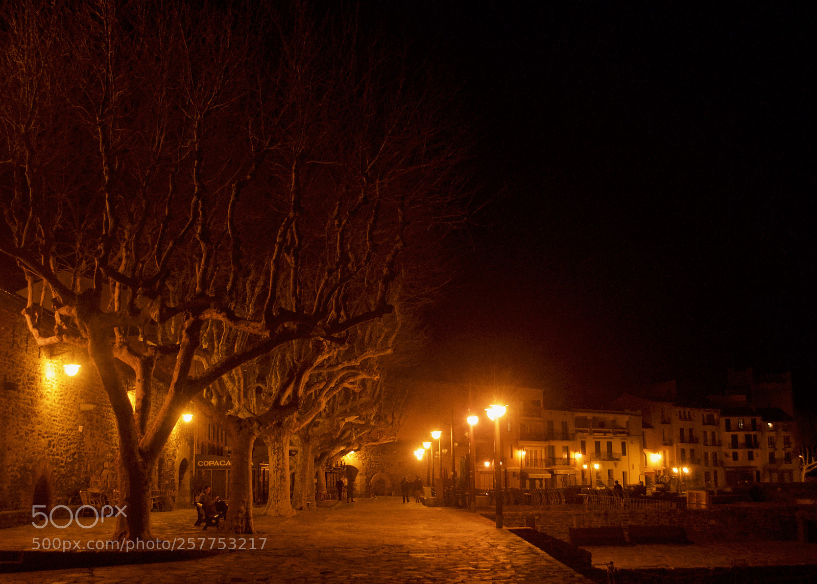 Nikon D5000 sample photo. Nightlife photography
