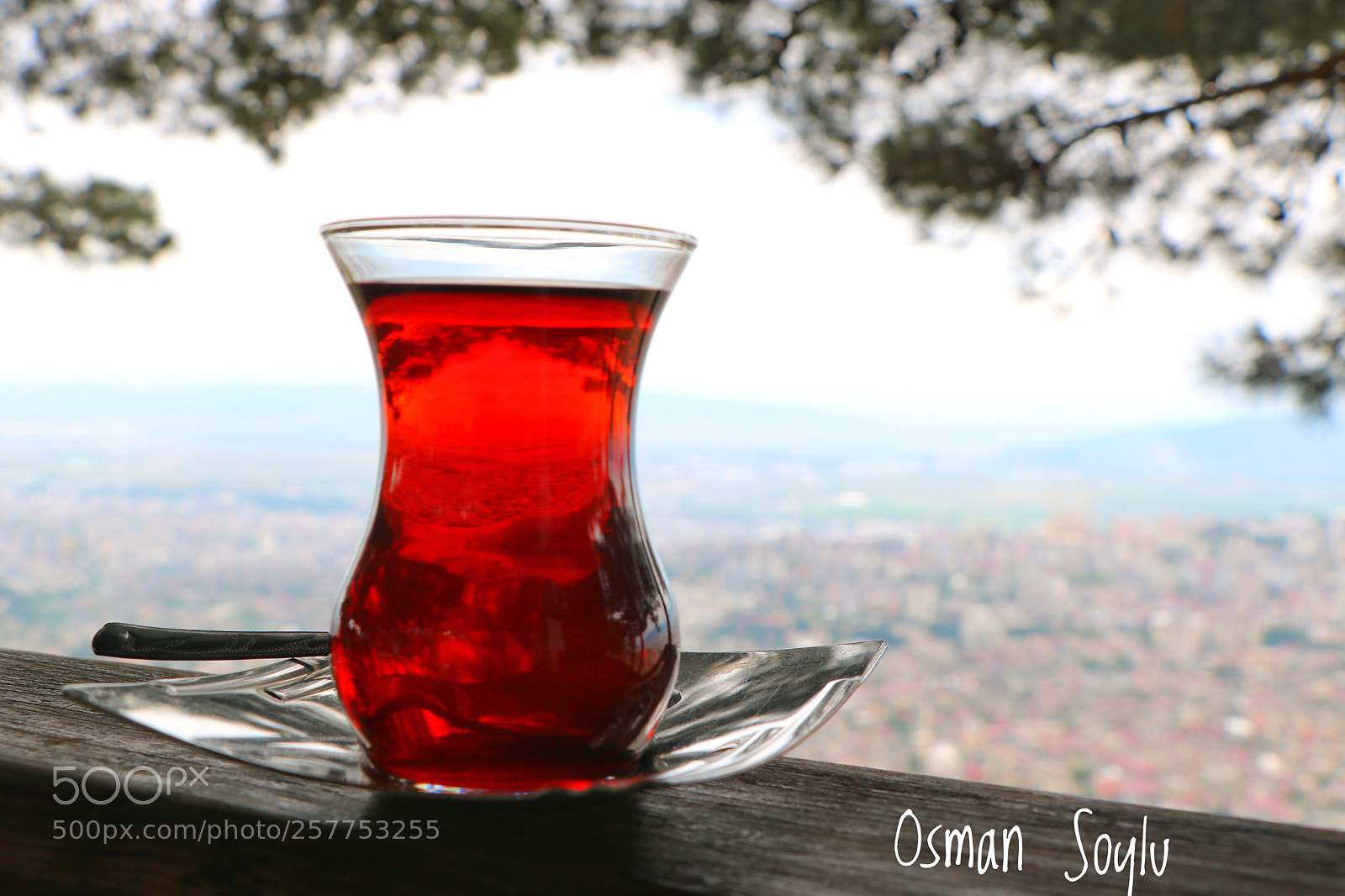 Canon EOS 760D (EOS Rebel T6s / EOS 8000D) sample photo. Turkish tea photography