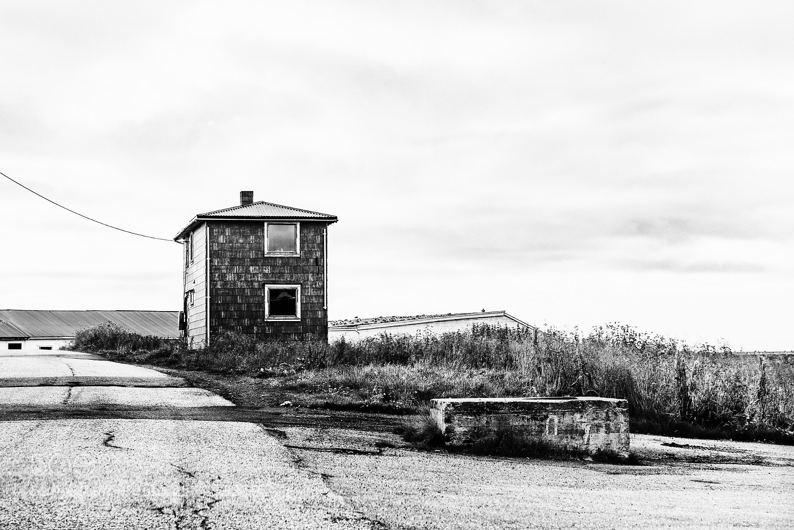 Nikon D750 sample photo. Untitled photography