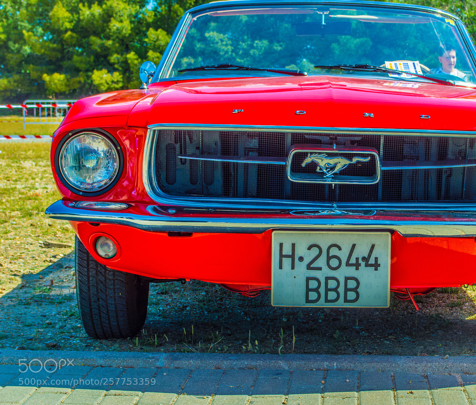 Nikon D3200 sample photo. Mustang 67 photography