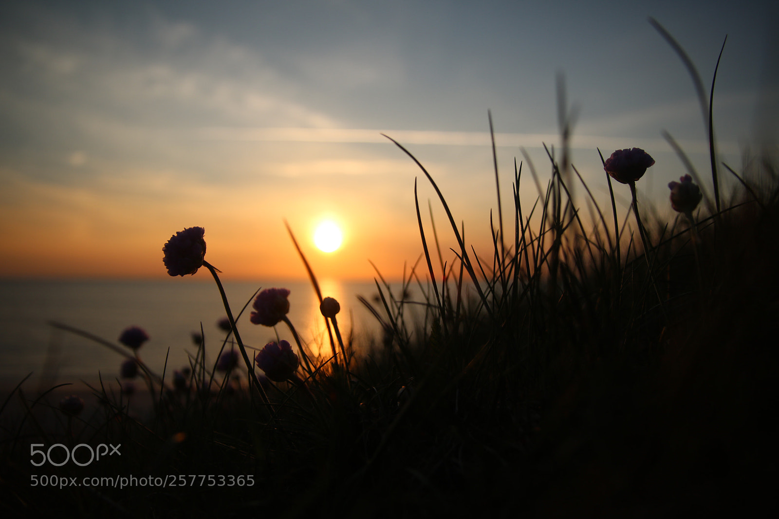 Canon EOS 760D (EOS Rebel T6s / EOS 8000D) sample photo. Sunset over hirtshals photography