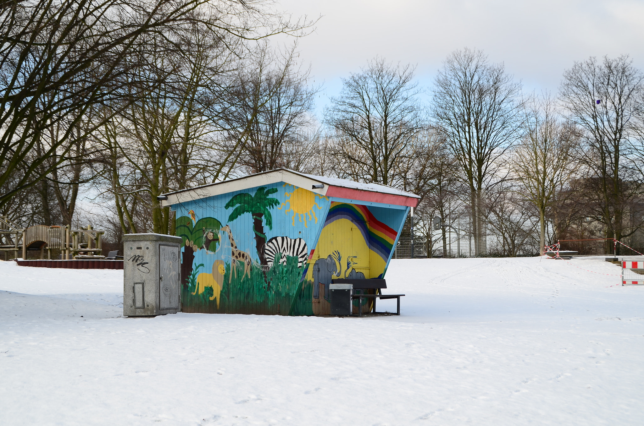 Nikon D5100 sample photo. Colorful in winter photography