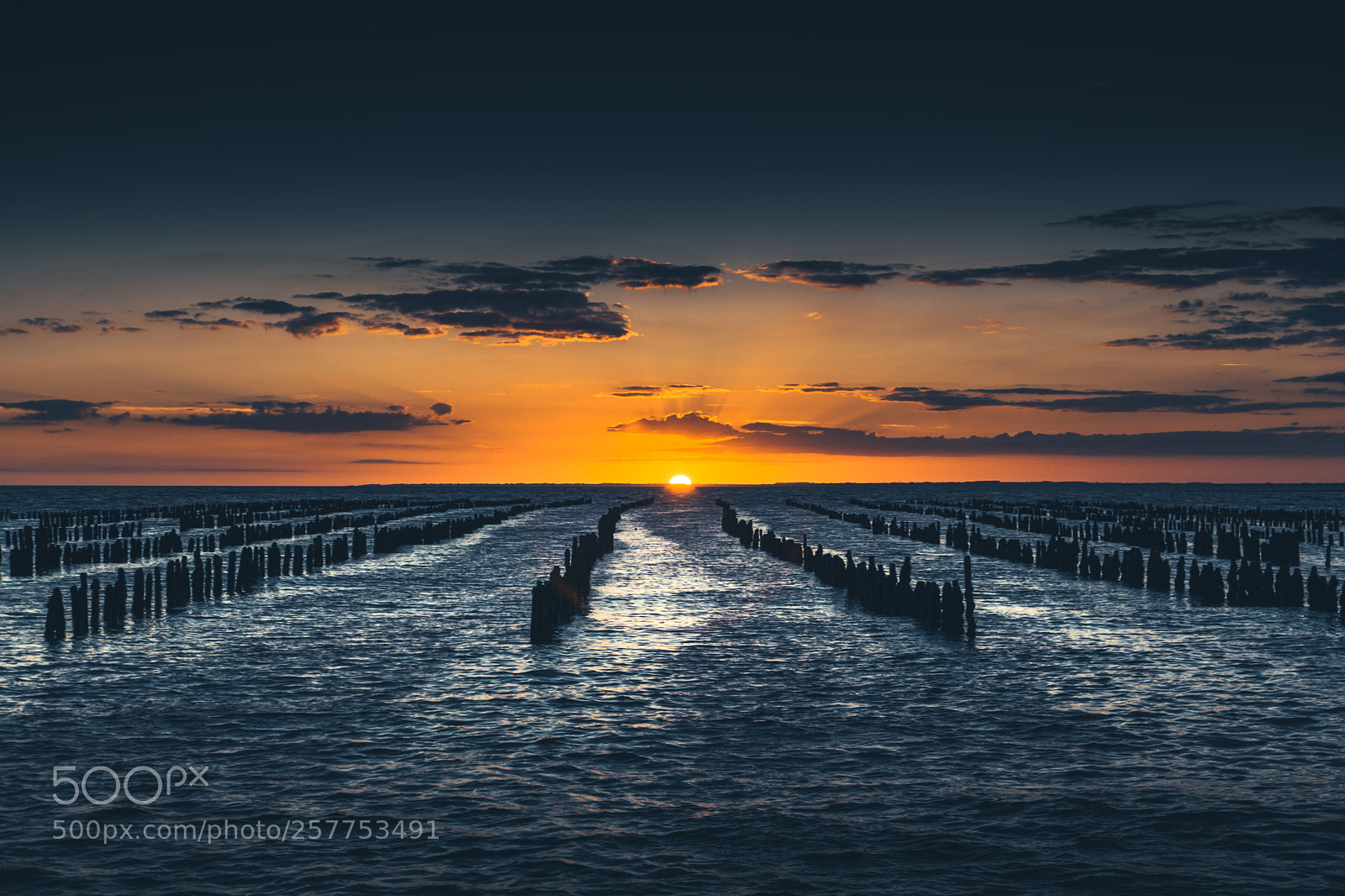 Canon EOS 5D Mark II sample photo. Matte sunset photography
