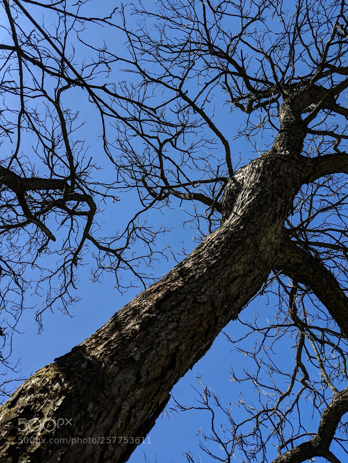 Google Pixel 2 sample photo. Untitled photography