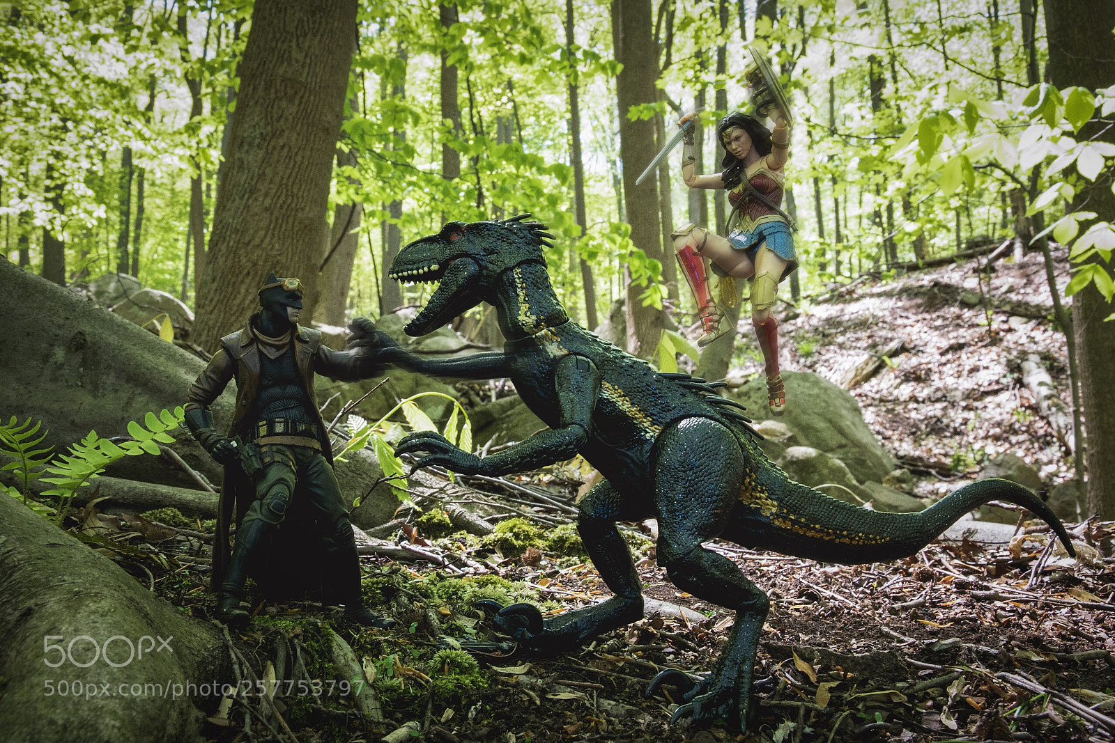 Nikon D750 sample photo. Jurassic league photography