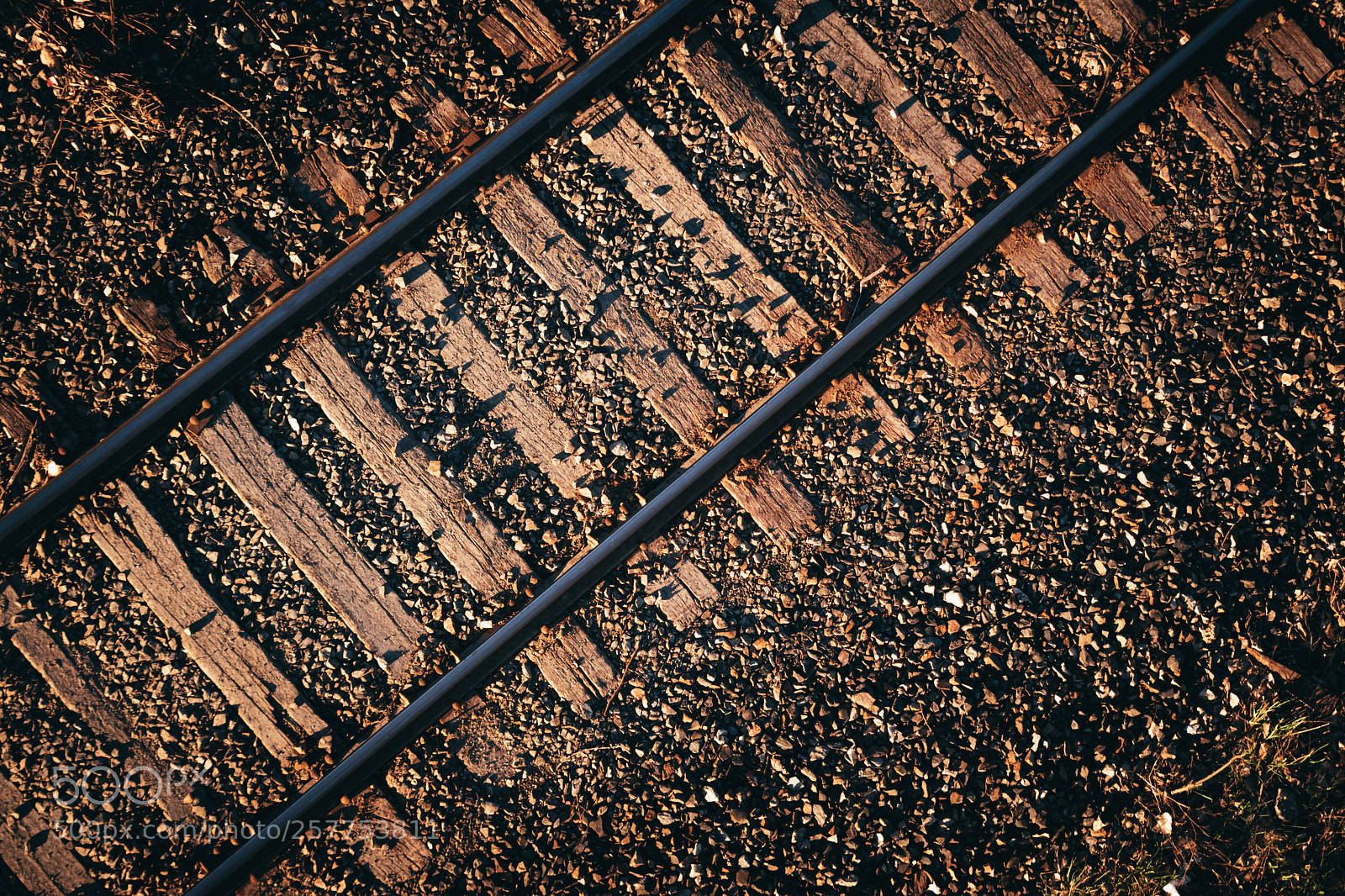 Nikon D5500 sample photo. Back on track photography