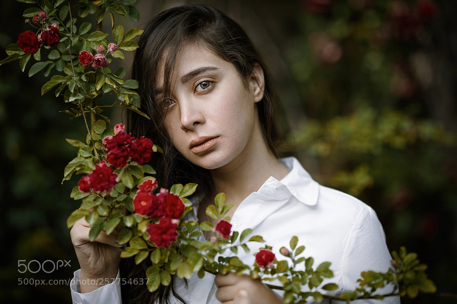 Canon EOS 6D sample photo. Nazanin photography
