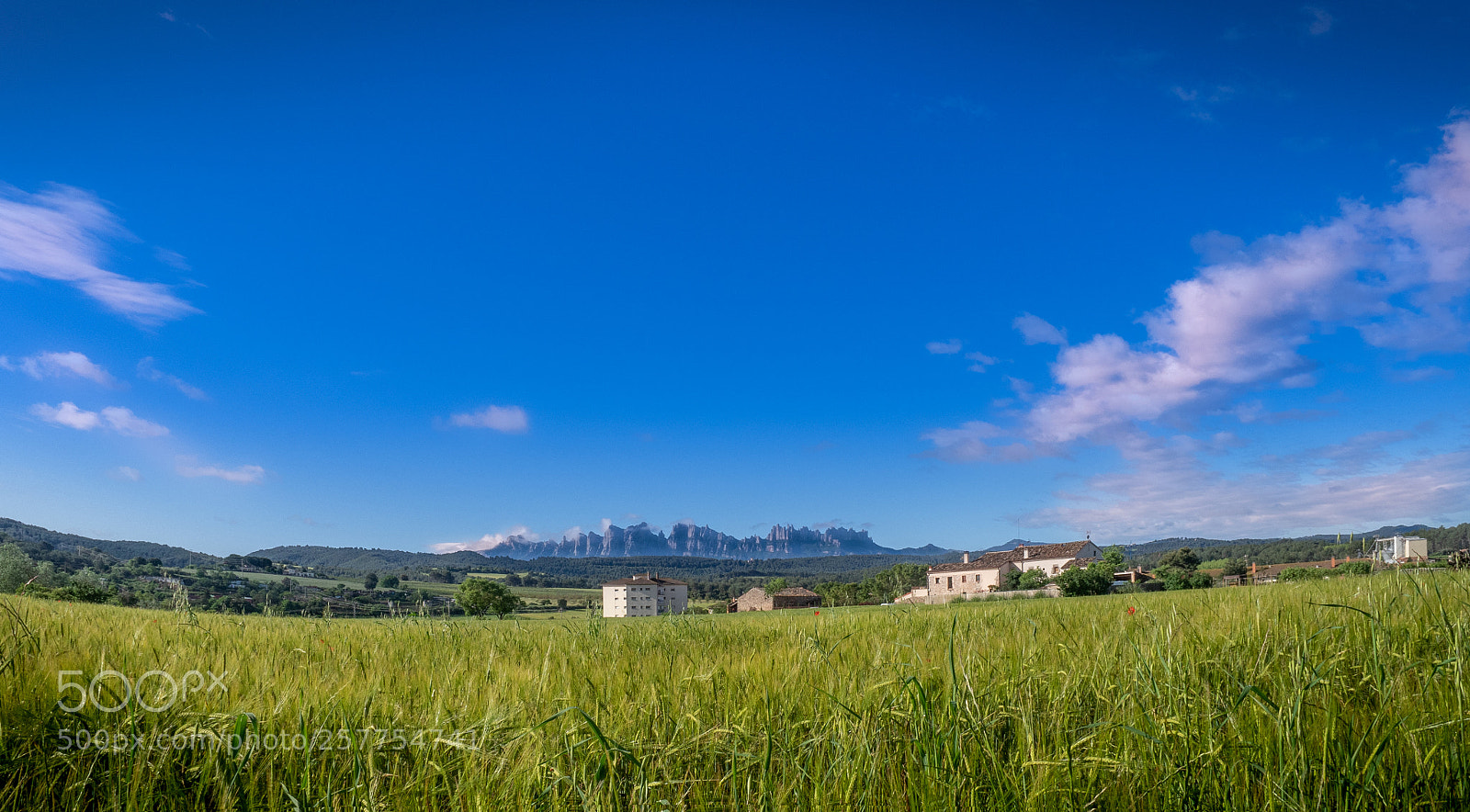 Olympus OM-D E-M5 II sample photo. Views of fields in photography