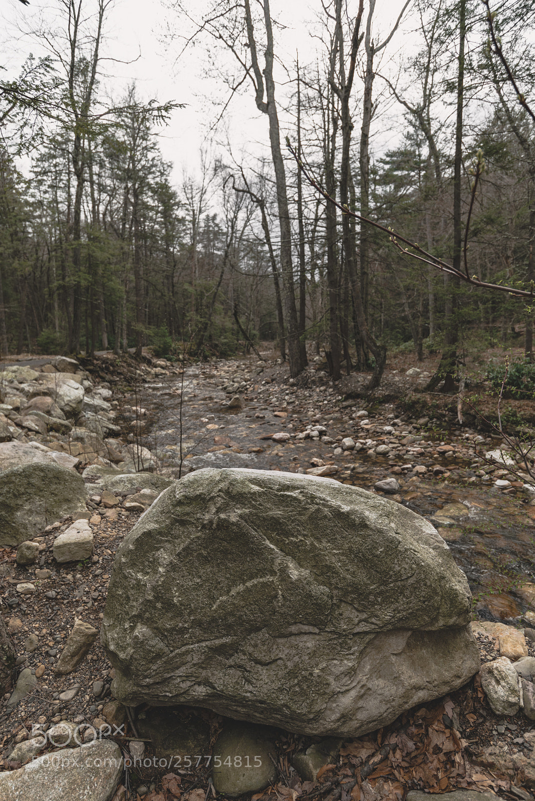 Nikon D750 sample photo. The great outdoors photography