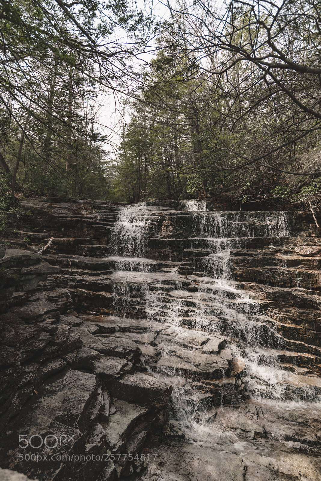 Nikon D750 sample photo. Wilderness photography