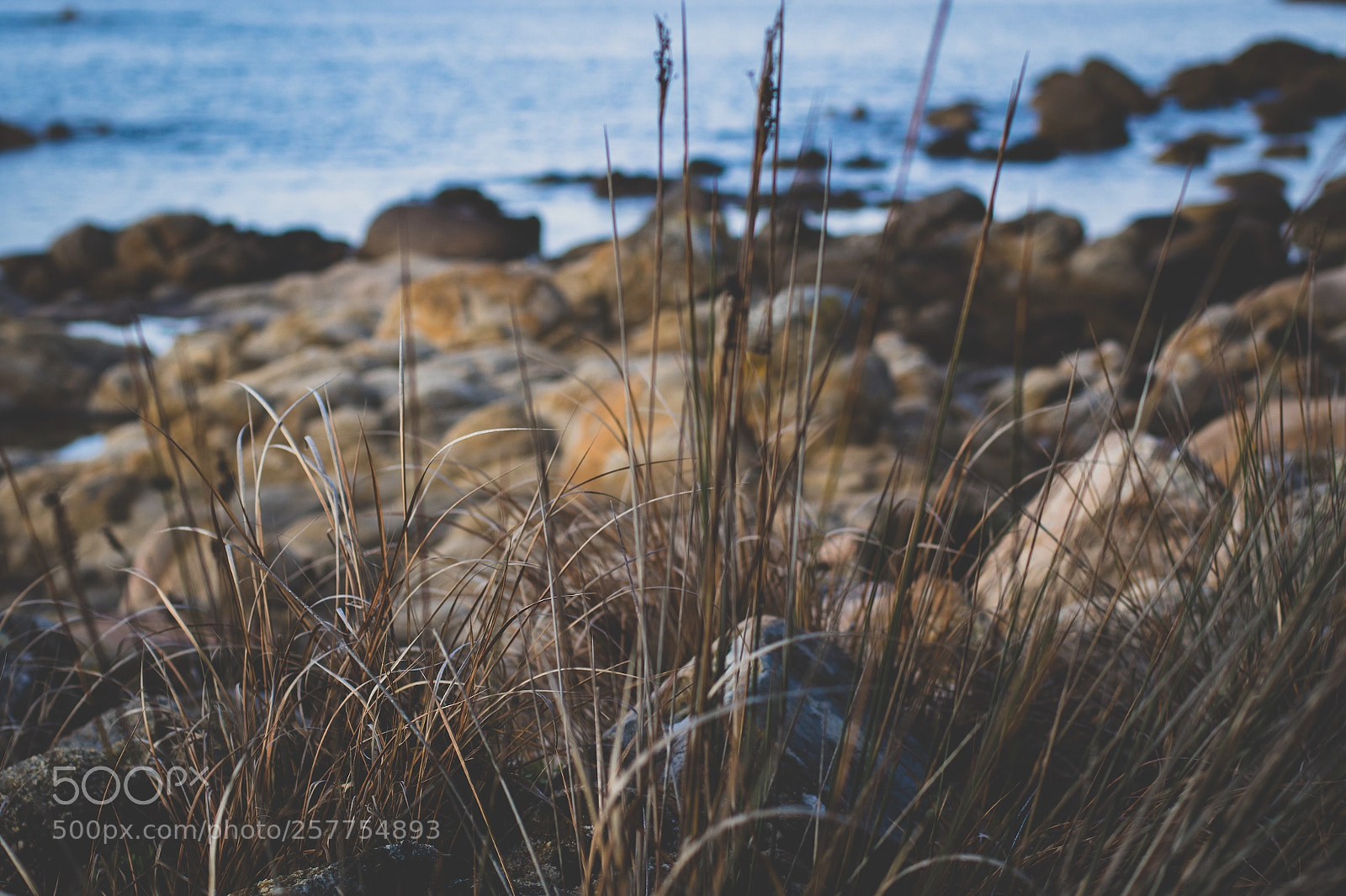 Canon EOS 7D Mark II sample photo. Seaside photography