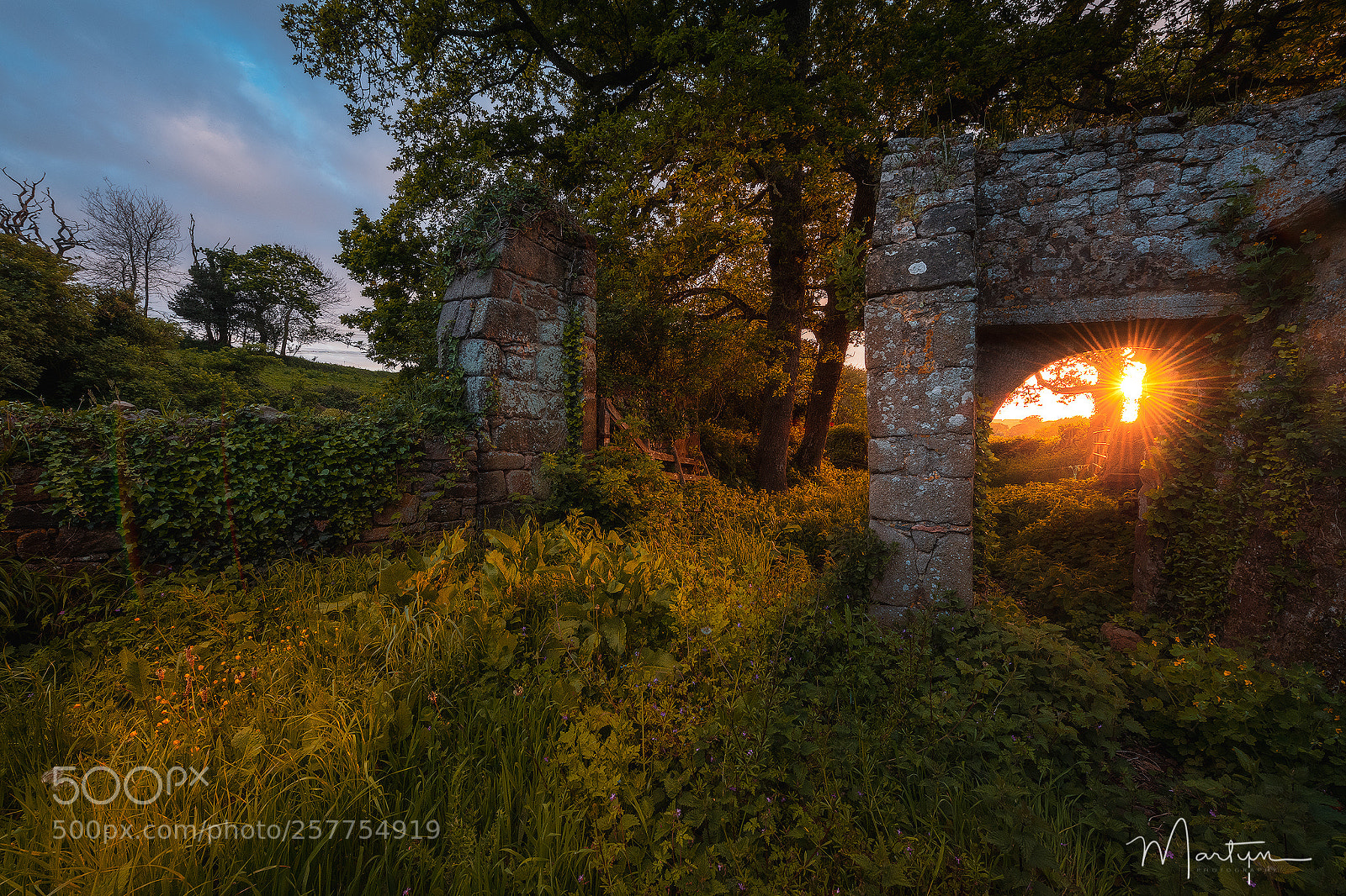 Nikon D850 sample photo. Sunset somewhere in normandy photography