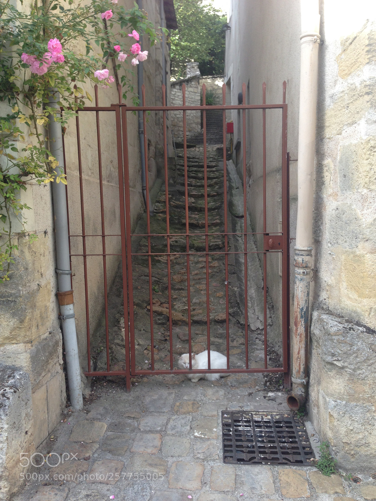 Apple iPhone 5 sample photo. French door in chinon photography