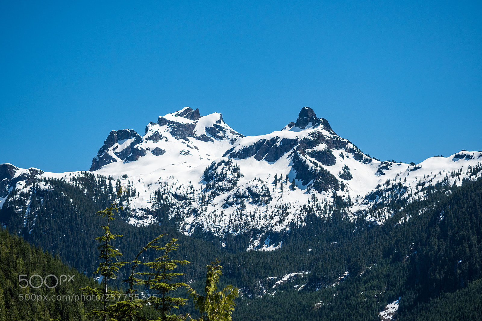 Olympus OM-D E-M5 II sample photo. Sky pilot mountain photography