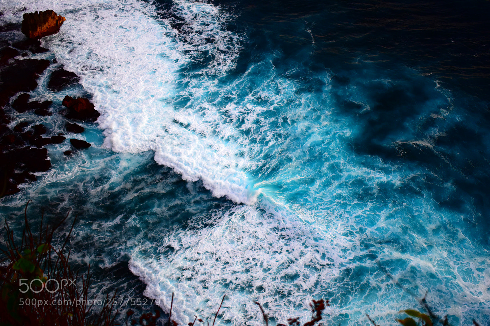 Nikon D3400 sample photo. Blues photography