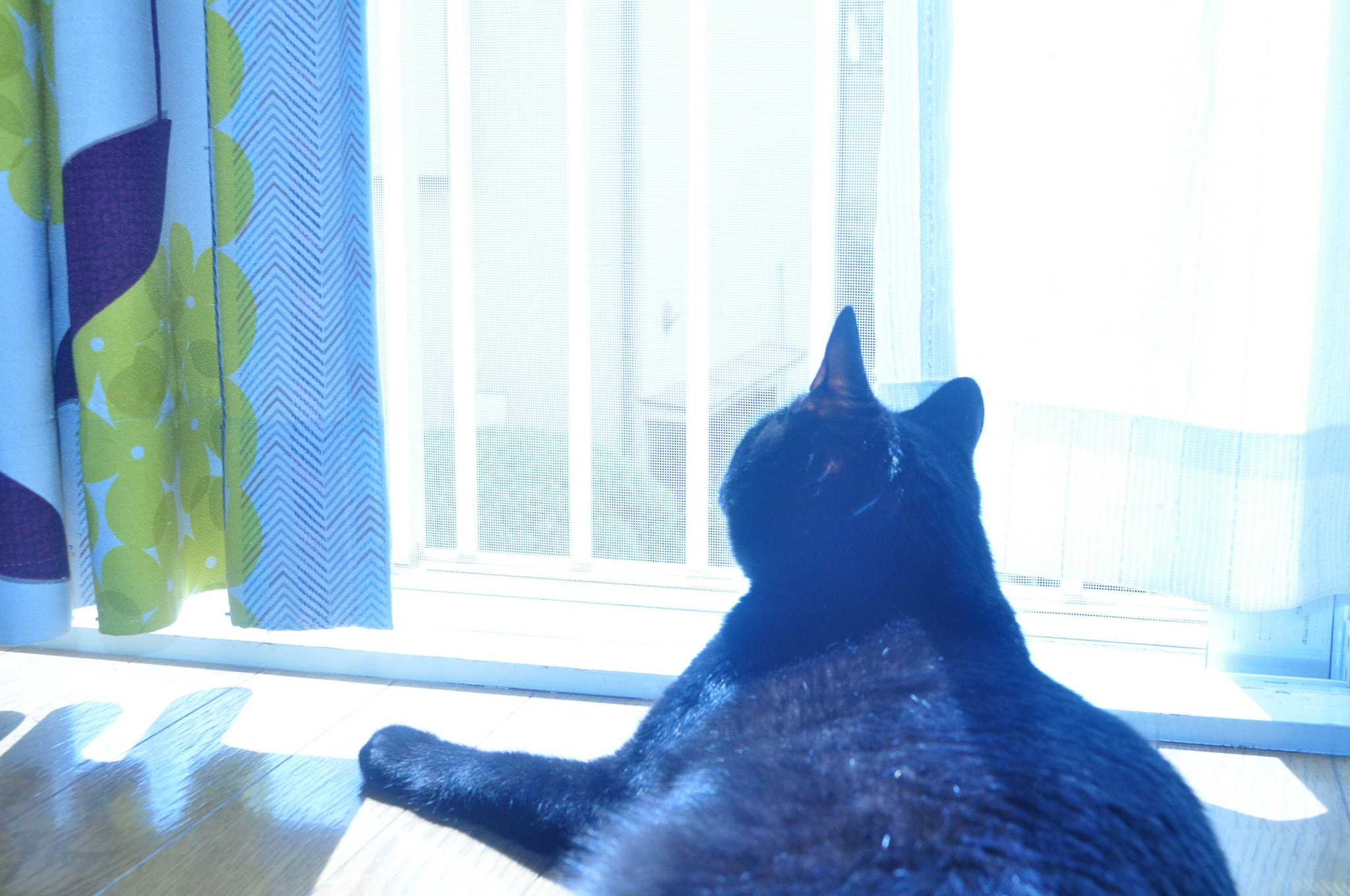 Nikon D5000 sample photo