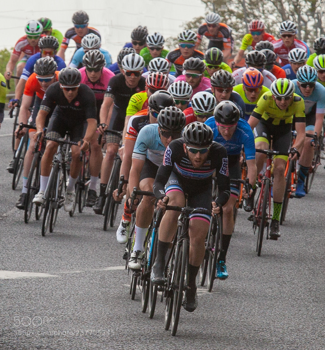 Canon EOS 5D Mark II sample photo. Leading the chase photography