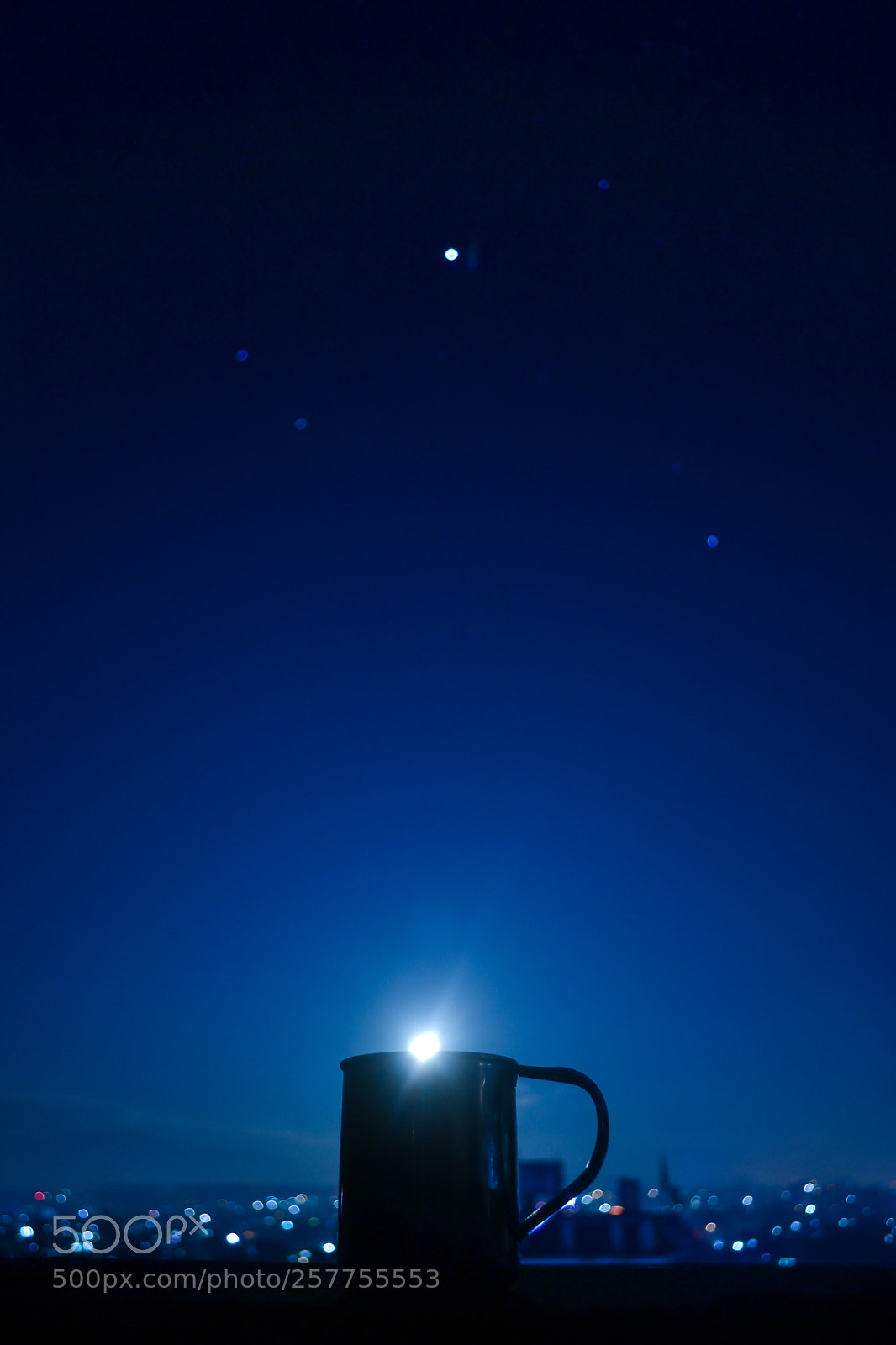Nikon D3100 sample photo. A cup of moon photography