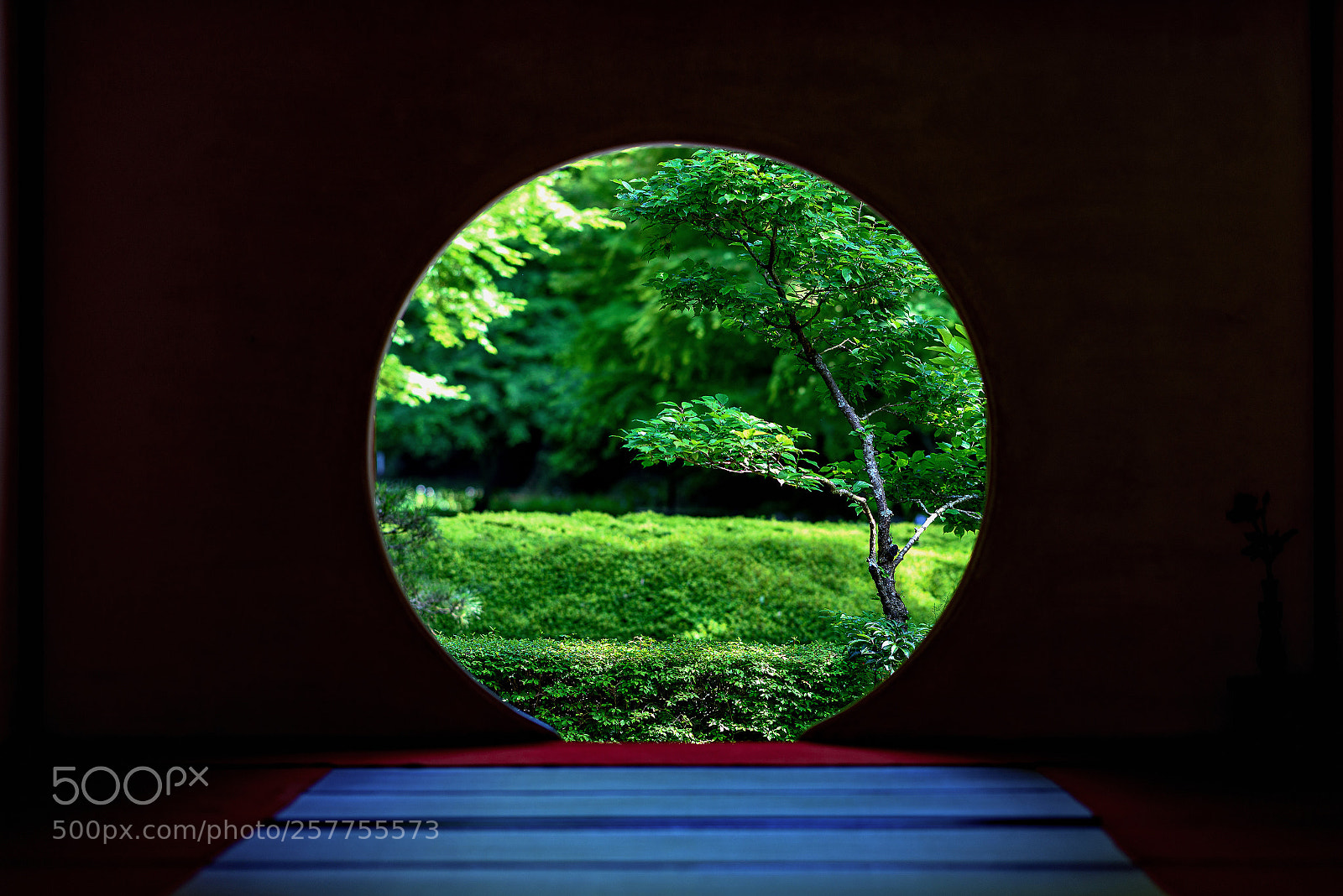 Nikon D810 sample photo. Green moon photography